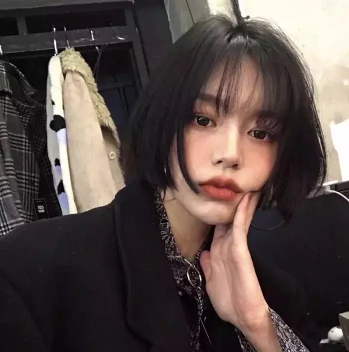 秋田犬蓬夫